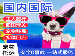 呼和浩特白塔航空物流国际宠物托运 【国